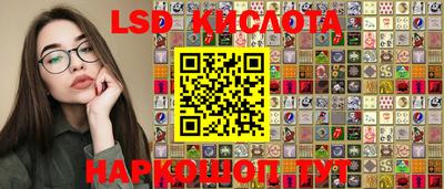 jwh Ставрополь