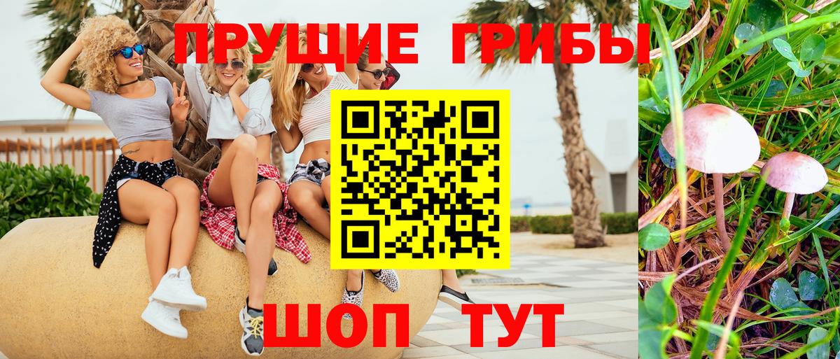 Псилоцибиновые грибы мицелий  Вход с VPN  Галлюциногенные грибы Magic Shrooms  Батайск 